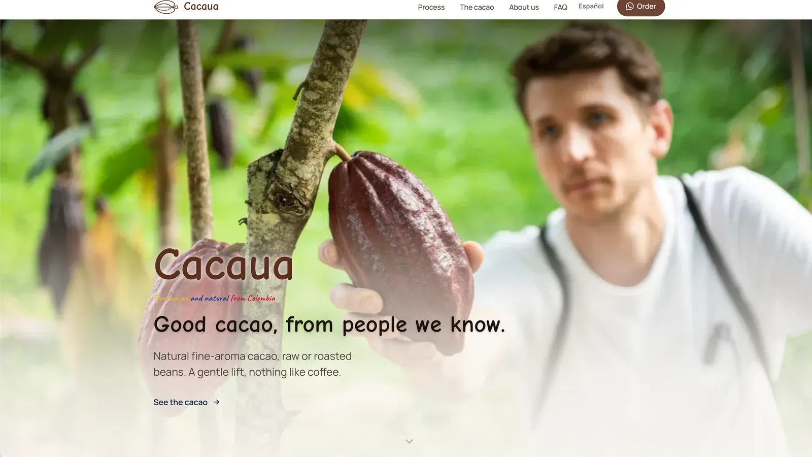 The Cacaua home page, over a photo of a ripe cacao pod held on a Colombian farm